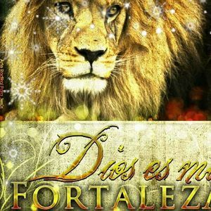 Meet your Posher, Moises